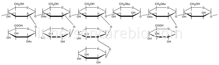 Tremella Fuciformis Polysaccharide